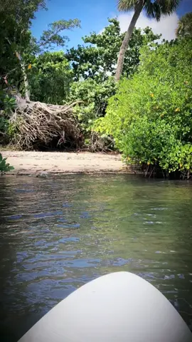 Explorando Florida #paradise #florida #oceanlifestyle #digitalcreator #foryourpageofficiall 