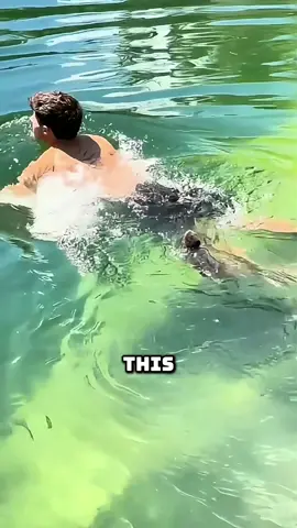 The man who adopted a baby otter by accident 🦦❤️ #AnimalStory #Heartwarming #OtterLove