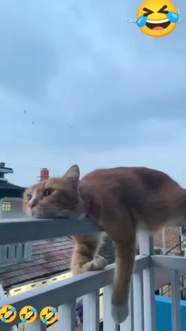 #oyensmakingemes #viral #sorotan #jangkauanluas #fyppppppppppppppppppp 