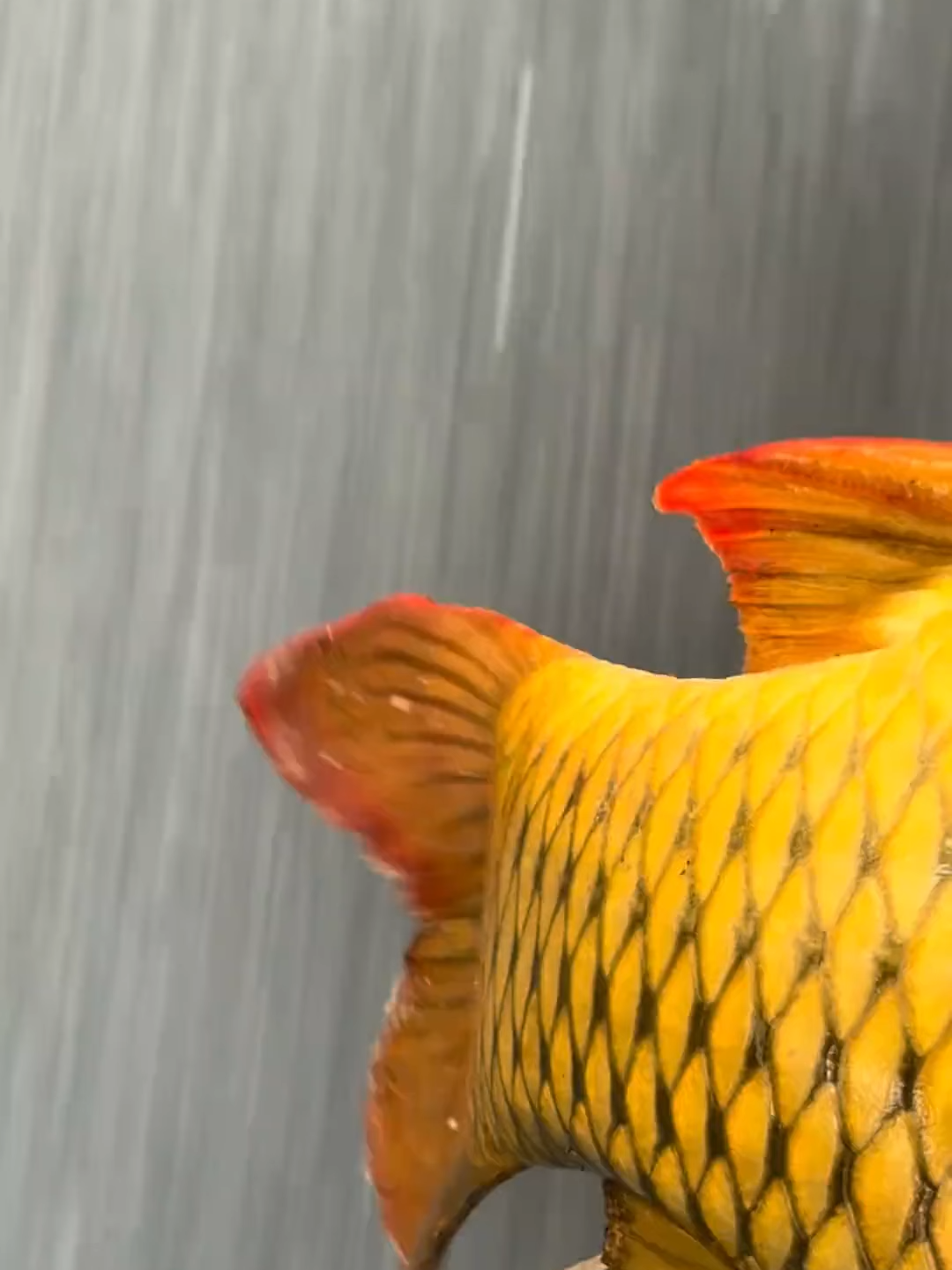 Cuối ngày chỉ cần vậy thôi!!! #caucagiaitri #caucavietnam #Reels #docauchinhhang