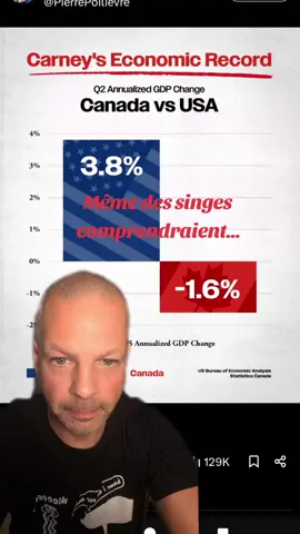 #magiefondvert #usa🇺🇸 #canada🇨🇦 #economy #humour 