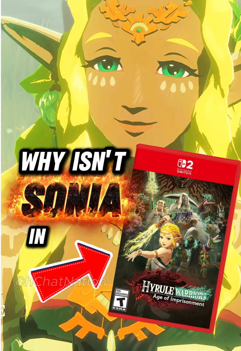 Wait… Sonia ISNT In Age of Imprisonment?! 😱 #zelda #ageofimprisonment #nintendo #totk #gaming