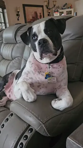 My Riley boy!