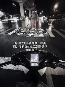 Có tiền đời đẹp như mơ, không tiền buồn bã bơ vơ giữa đời. 有钱的生活就像梦一样美丽，没有钱的生活则是悲伤和孤独 #fyp #viral #tamtrang #sttdoi #cuocsong 