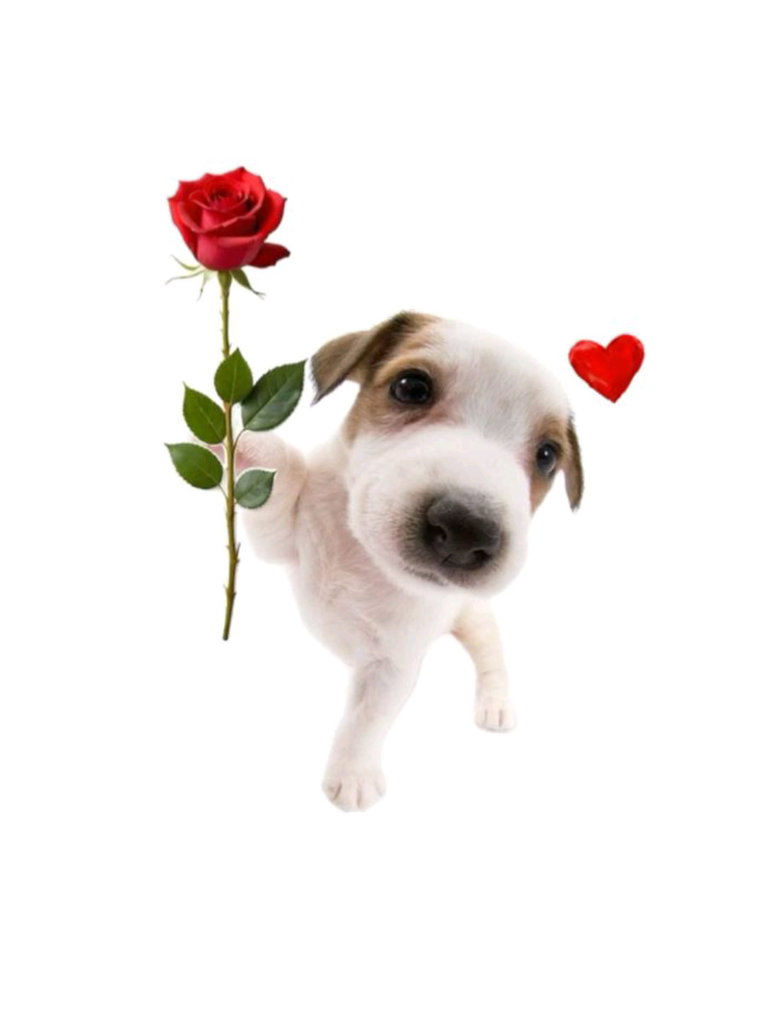 13:10 | Calma - Jorge e Mateus .  .  .  .  .  #fyp #sertanejo #jorge #mateus #jorgeemateus 