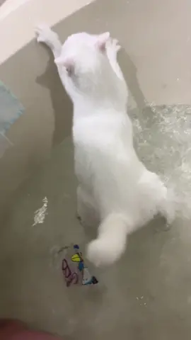 saw that coming from a mile away