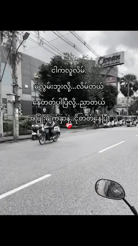 လူလိမ်ပါ☺️