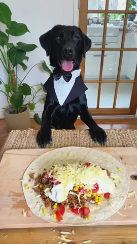 Delicious Homecooked Meals Made Easy #homecooking, #foodtutorials, #EasyRecipes, #labrador, #cookingtips 