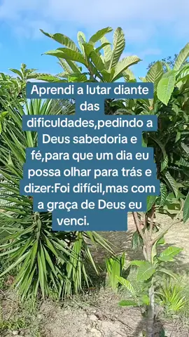 #viralizarnotiktok #foryoupage #paz #simplicidadedaroça #natureza 