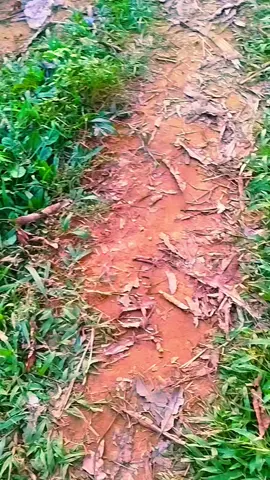 nasipeh reng tak andik yeh la dek iyeh  #katakatamadura 