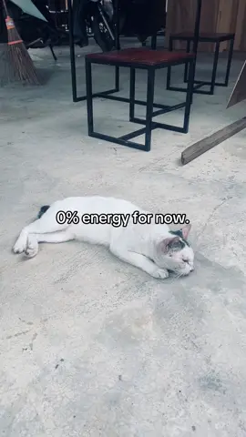 #fyp #zxybcaシ #4u #foryoupage 