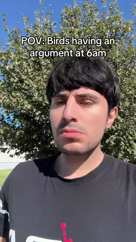 Birds having an argument at 6am be like 😂😂😂 #comedy #relatable 