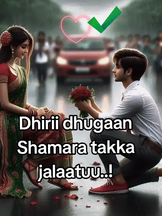 #🌹🥀🥀🥀🌹🌹🌹🌹🌹🌹🌹🌹🥀🥀🥀🌹🥀🥀🥀🥀🥀🥀🥀🥀 