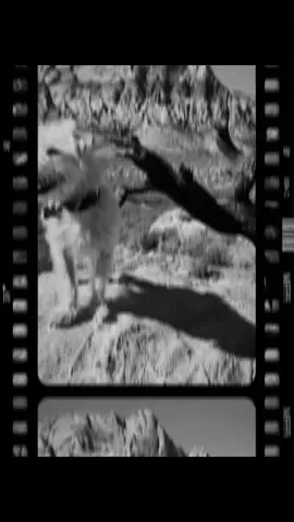 Best part of summer ending #CapCut 