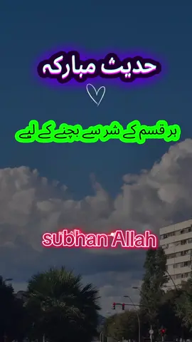 #حدیث_مبارکہ #islamic_video #for_muslim #subhanallah #alquran 