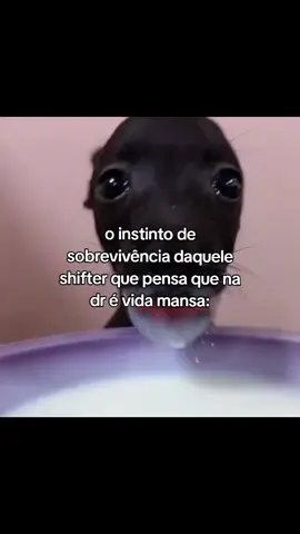 você é só um cachorrinho fofo, mano #desiredreality #shiftersfyp #shifters #dr #shifttok 