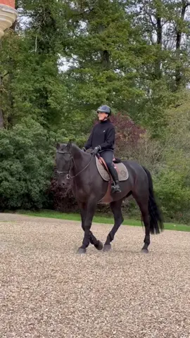 the horse of my dreams, the companion of my life, merci Phin Phin ❤️ #fyp #pourtoii #crackhorse #cso #jumping 