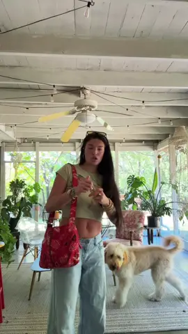 junie b says no paparazzi #fyp #me #bradleyelisa 