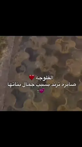 ترند الفلوجه 