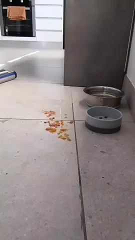 ✨🌀 ودّعي التعب مع Bissell CrossWave HF3 Cordless 🌀✨ 💧 جهاز واحد يجمع بين الكنس والمسح في نفس اللحظة! 🔋 لاسلكي ببطارية قوية تديكي لحد 25 دقيقة تشغيل متواصل. 🚿 بخزّان مزدوج يفصل المية النضيفة عن المية الوسخة عشان نظافة مضمونة. ⚡ قوة 120 واط تنظف الأرضية بكل سهولة وبدون مجهود. 🧼 ومع خاصية التنظيف الذاتي للفرشاة والنظام، هتخلصي شغل البيت أسرع وأنضف. 🏠 مناسب لكل أنواع الأرضيات: خشب، سيراميك، لامينيت وبلاط. 👉 جهاز هيغيّر مفهوم التنضيف عندك… خطوة واحدة = بيت نظيف ولامع ✨ 📣متوفر لدينا 📢جميع أنواع الاجهزة الصغيرة.. مكانس دايسون، الجاف رطب، الوت دراي، الروبوتس المكانس الذكية، منتجات نينجا، وكل اللي نفسك فيه في لقطة مستوردة هتلاقيه❤️‍🔥🥳 التوصيل لجميع محافظات مصر وانتظرونا قريبا في باقي الدول العربية 📢🚨 dyson, tineco, robots, roborock, ecovacs, dreame, xiaomi, ninja, smeg,.....❤️ متنسوش هتلاقوا عندنا أي حاجة مستوردة نفسكم فيها🎁❤️ وبأقل الاسعار 💸 السعر لُقطة ❤️‍🔥  #viraltiktok #fyp #trending #explore #اكسبلور