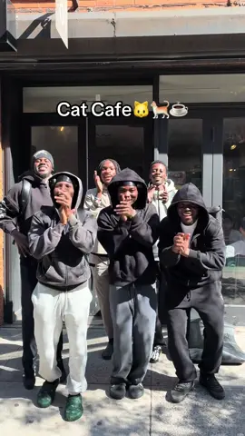 Therapy fr @OSB #fyp #cat #catcafe #catsoftiktok #cats @wh0is.solo @The ticket 🎟️🎭 @Milly @KD @osbjames_ 