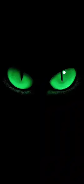 You can download it from the link in the profile header🔗 #eyes #greeneyes #livewallpaper #livewallpaper4k #4kUltra #4klivewallpaper #livewallpaper8K #wallpaper #wallpaperanimado #wallpapers #5dlivewallpaper #zhivyye_oboi #خلفيةحية #動態壁紙 #wallpaperhidup4k #壁紙4k #живыеобоинателефон #живыеобои4k #creatorsearchinsights2026 #IPhone17pro #wallpaperlive #hìnhnềnsống #mukbangasmr #creatorsearchinsights2025 #MobileWallpaper #120fps #PhoneWallpaper #fonddécrananimé #hìnhnềnsống4k  #아트월페이퍼 #AestheticWallpaper 