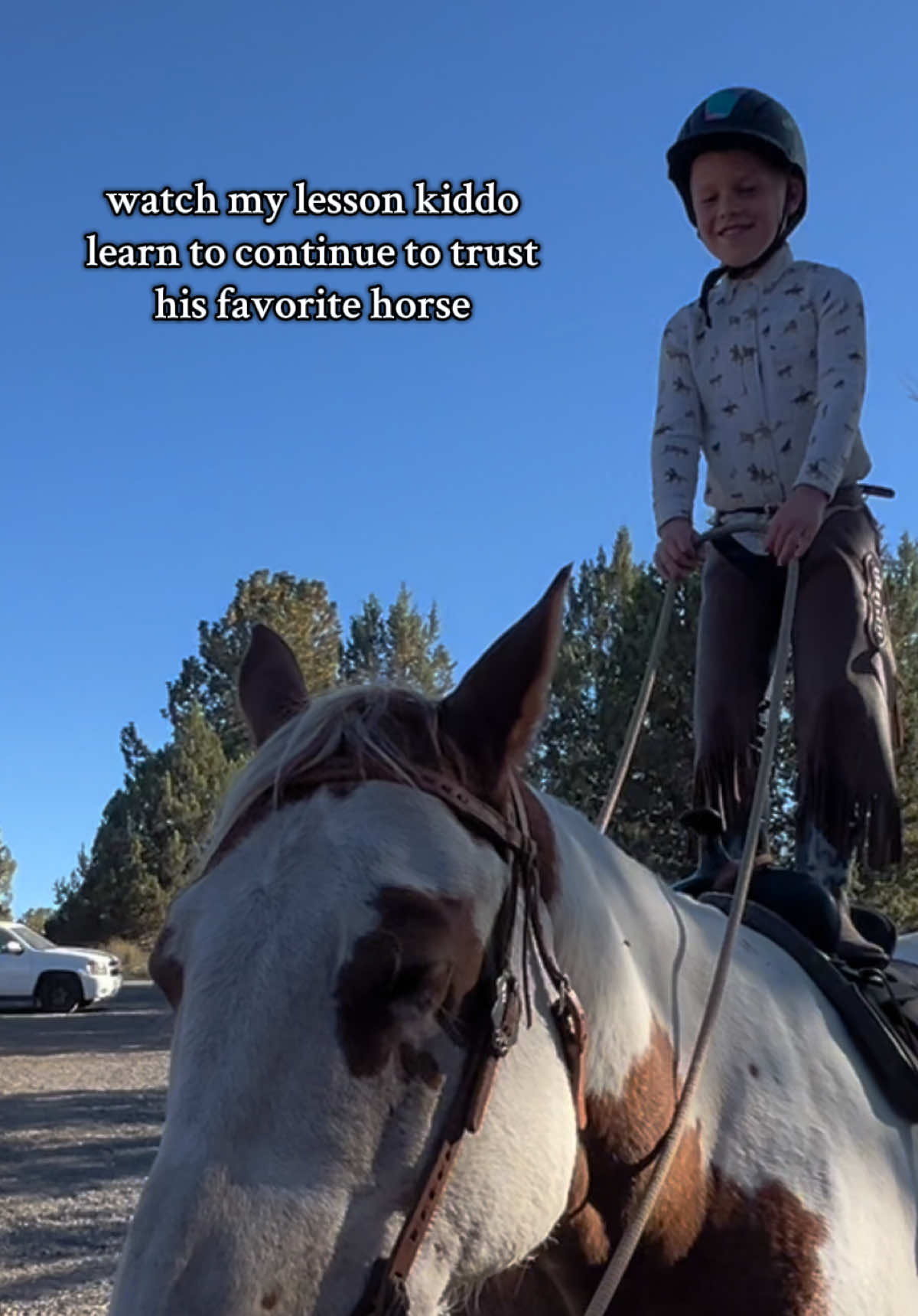 there’s nothing like a good lesson horse (he is for sale btw!!👀) #horseforsale #gentle #kidshorse 