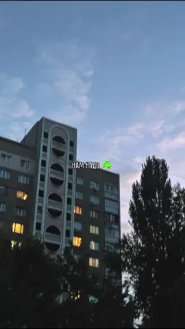 #жека #ктотам #пали #в #глазок 