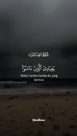 #قران_كريم #القران_الكريم_راحه_نفسية😍🕋 #quran 