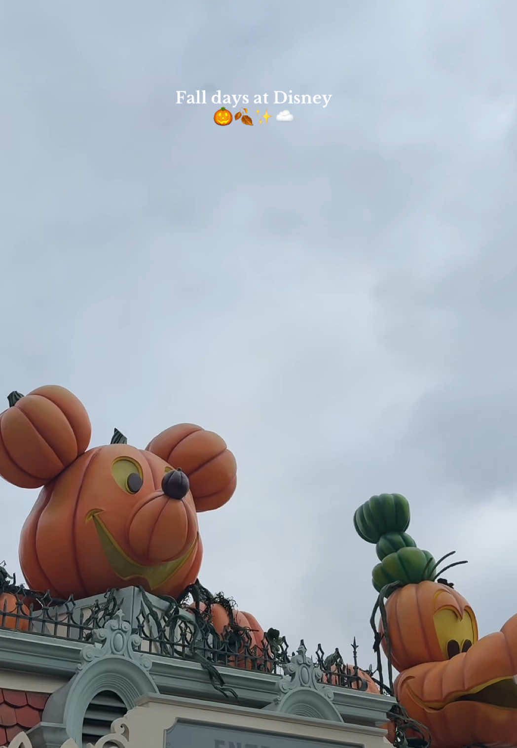 Did I use my PTO for a Disney day with my son, yes and yes I did 😌 gloomy days at Disney are the best ☁️🎃🍁🍂✨ it was definitely giving fall vibes 🫶🏻 #disney #disneyday #disneyvlog #gloomyday #toddlermomlife @Alani Nutrition @uppababy @Disney 