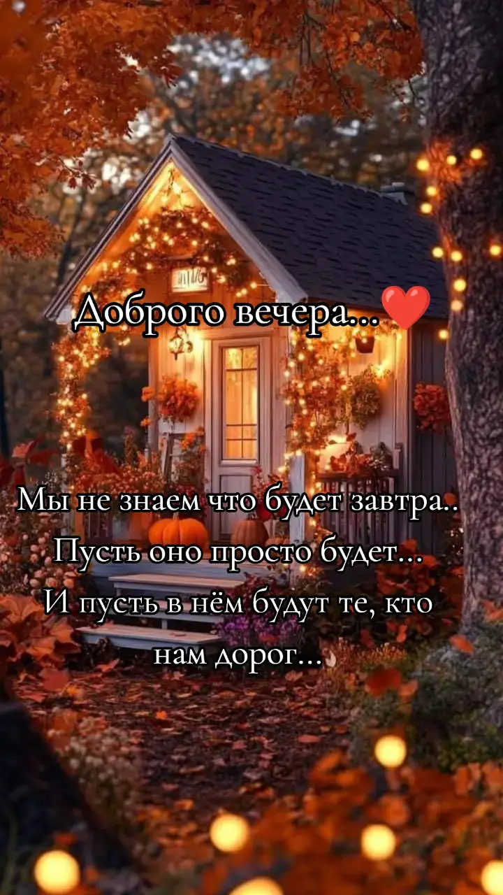 #Liza❤️🙏 #добрыйвечер #люблю❤️ #2025 #