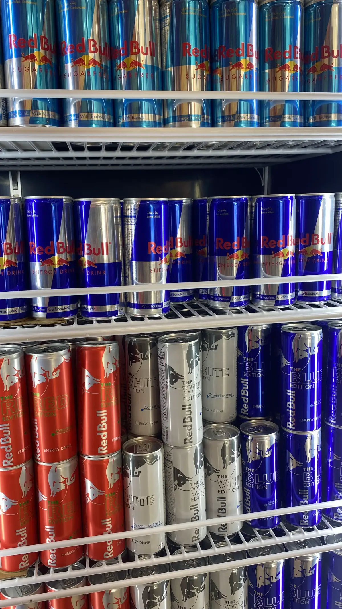 #بيشه #r #fyp #roblox #اكسبلور 