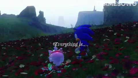 In love in every single dimension 🥹😭 #sonamy #sonamyedit #fallinloveagainandagain #sonicthehedgehog #amyrose 