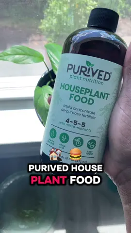 I can actually see my plants growing. #PlantFood #Houseplants #PlantNutrients #PlantLife 