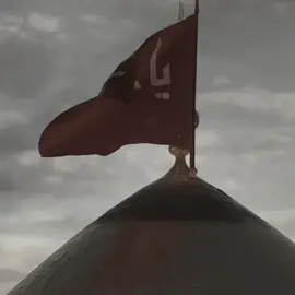 نعم يحبني الحسين 🥹✨،+ بشرفكم ما يتساهل لايك 🤓.  #الامام_الحسين_عليه_السلام #قصائد #قصائد_حسينيه #محمد_باقر_الخاقاني #loveyoutiktok 