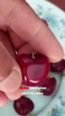 #creatorsearchinsights le secret pour faire germer un noyau de cerise 🍒. #jardinage #cerisier #gardening #faitmaison 