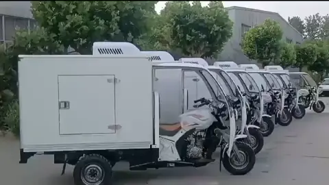 Three-wheeled motorcycle refrigerated truck