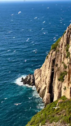 🌊                                                         #dz #annaba #fyp #tourismealgeria 