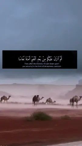#سورة #قران_كريم 