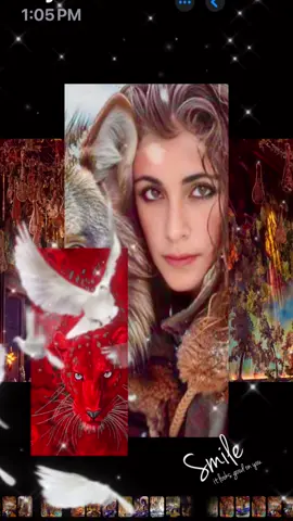 #xara #fromchicago #