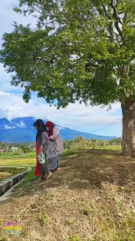 Sumatera Barat, Kabupaten Tanah Datar, Buluh kasok, indahnya pemandangan Alam Sumatera Barat ku tercinta 🥰 #gunungmerapi #gunungsinggalang #bukitbarisan #sawah #dendangsaluangminang 