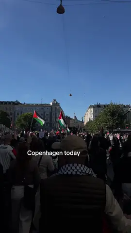 So many people turned up today to march the innercity streets of Copenhagen and demand that actions be taken by the danish government to end all support of the terror state, Israel and start recognizing the horrors of what is going on in Gaza. Denmark is one of the western countries that have still not recognized Palestina as a legitimate state and by turning a blind eye, our government is complicit in a genocide that has already claimed thousands of victims  #freepalestine #ceasefirenow #fromtherivertothesea #copenhagen #fyp 