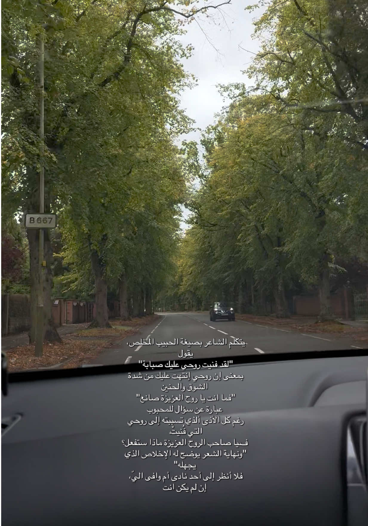 #شاعر #لقد_فنيت_روحي_عليك_صبابة🖤 #fyp #explorer #شعر 