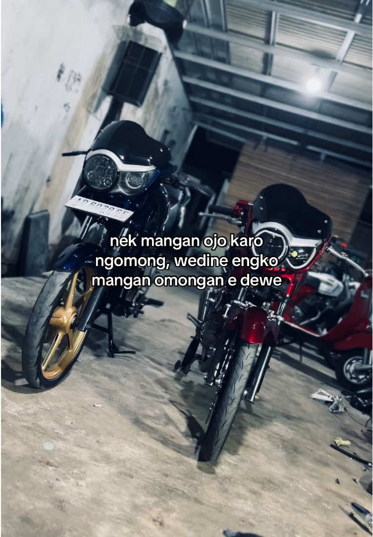 🤭 #fyp #tigertazara 