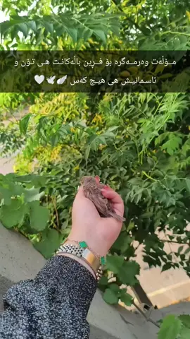 #aktef_jm3at💎 