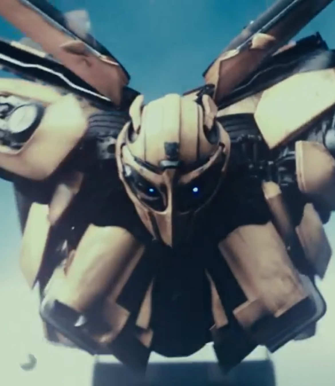 #bumblebee #bumblebeeedit #transformers #xvbray #flow 