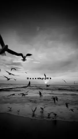 لا تحكم على يومك من الحصاد الذي جنيته #خواطر #اقتباسات #عبارات #حكم #اقوال 