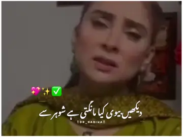 دیکھیں بیوی  #Motivation #foryou #foryoupage #viralvideo #standwithkashmir 