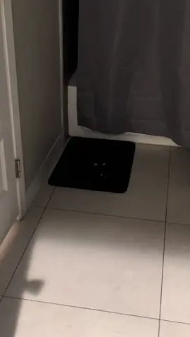 She’s always lurking in the shadows 🐈‍⬛ ##spooky##catsoftiktok##cats##intheshadows##fypシ