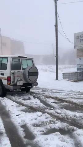 #ثلوج_الاردن #حقل #تبوك #ربع 
